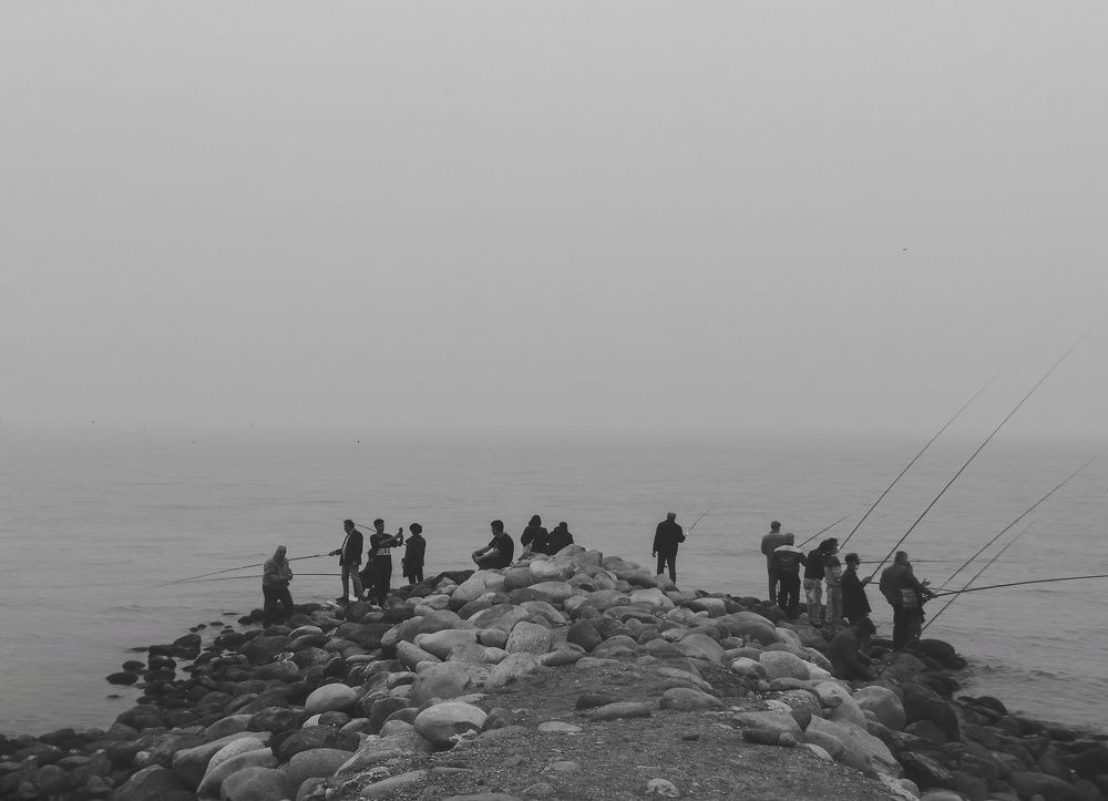 Photo #7333013