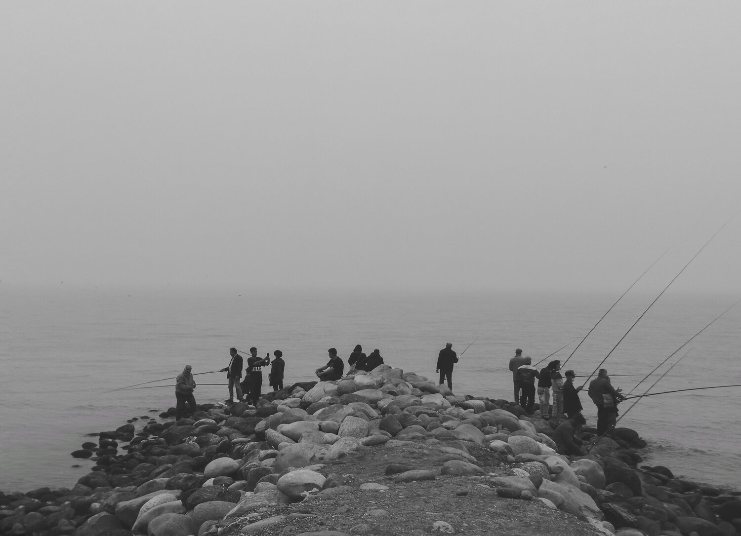 Photo #7333013