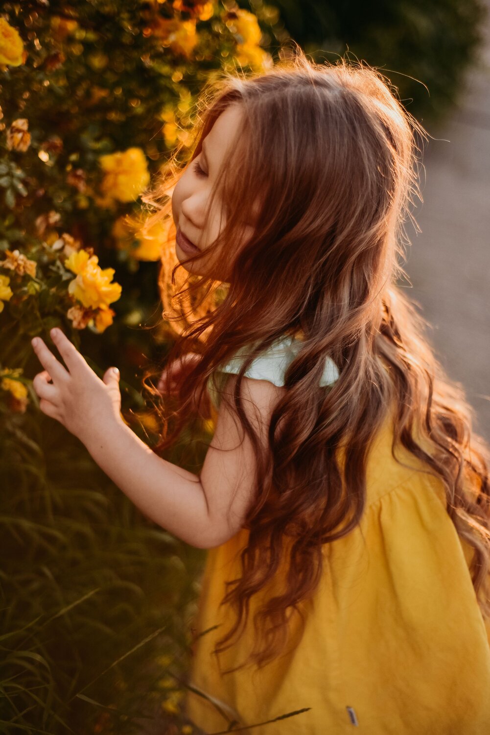 Photo #7333077