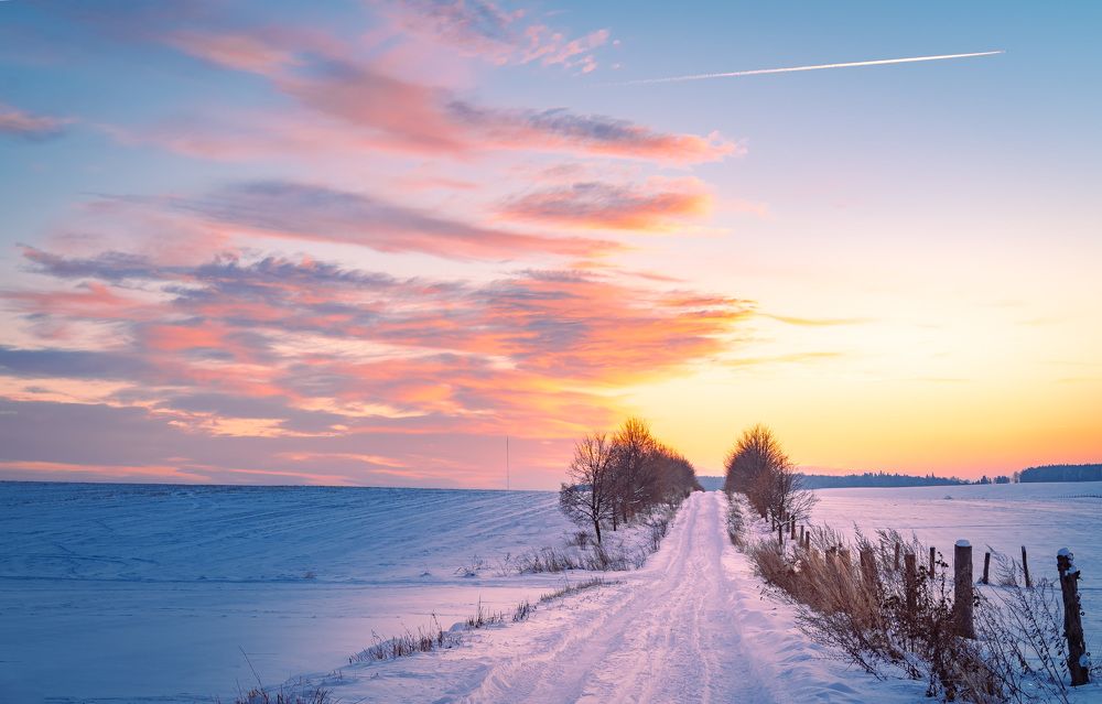 Photograph by Tomáš Jurník