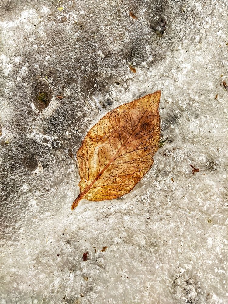 Photograph by Николай Мюллер