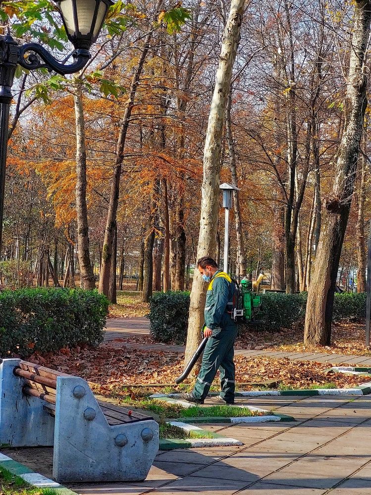 Photograph by shima yousef zade