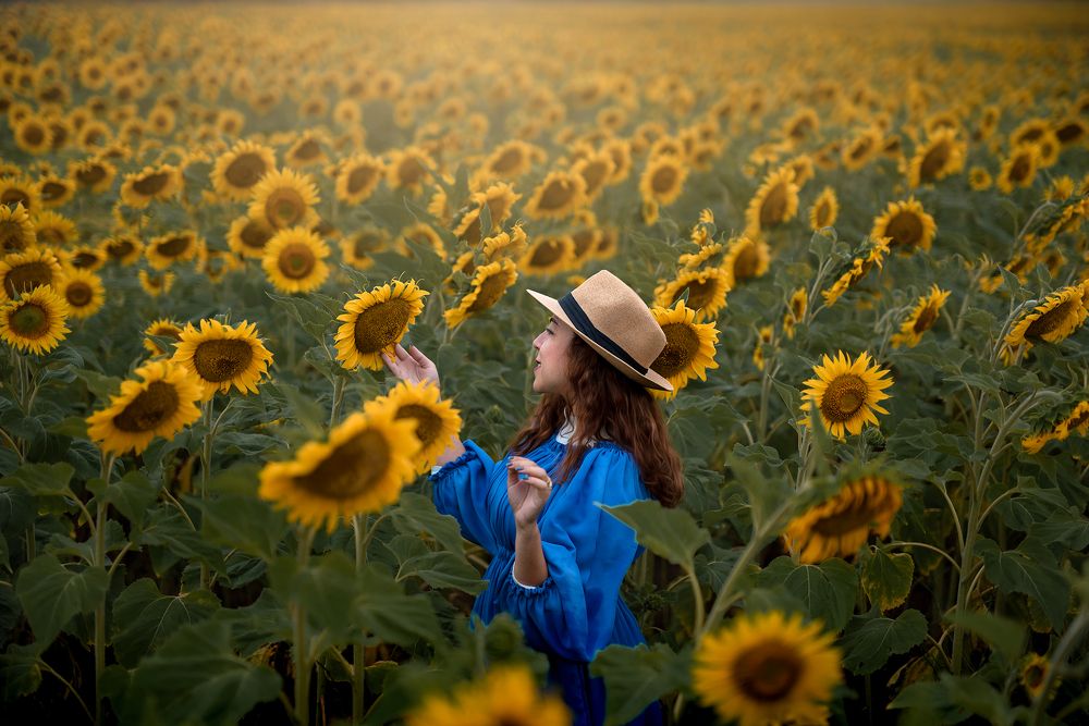 In  a sea of sunflowers