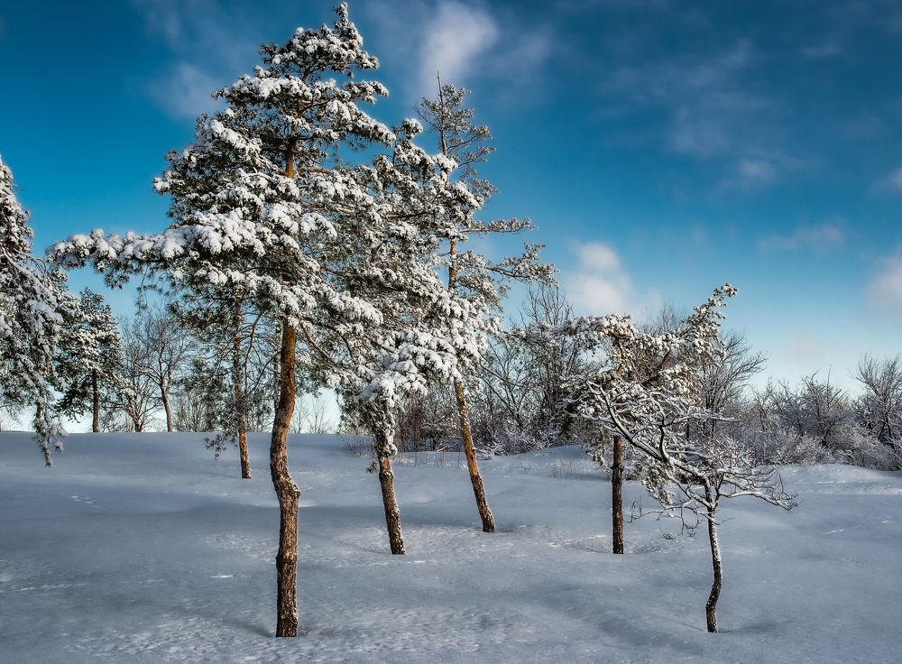Photograph by Роман Васильев