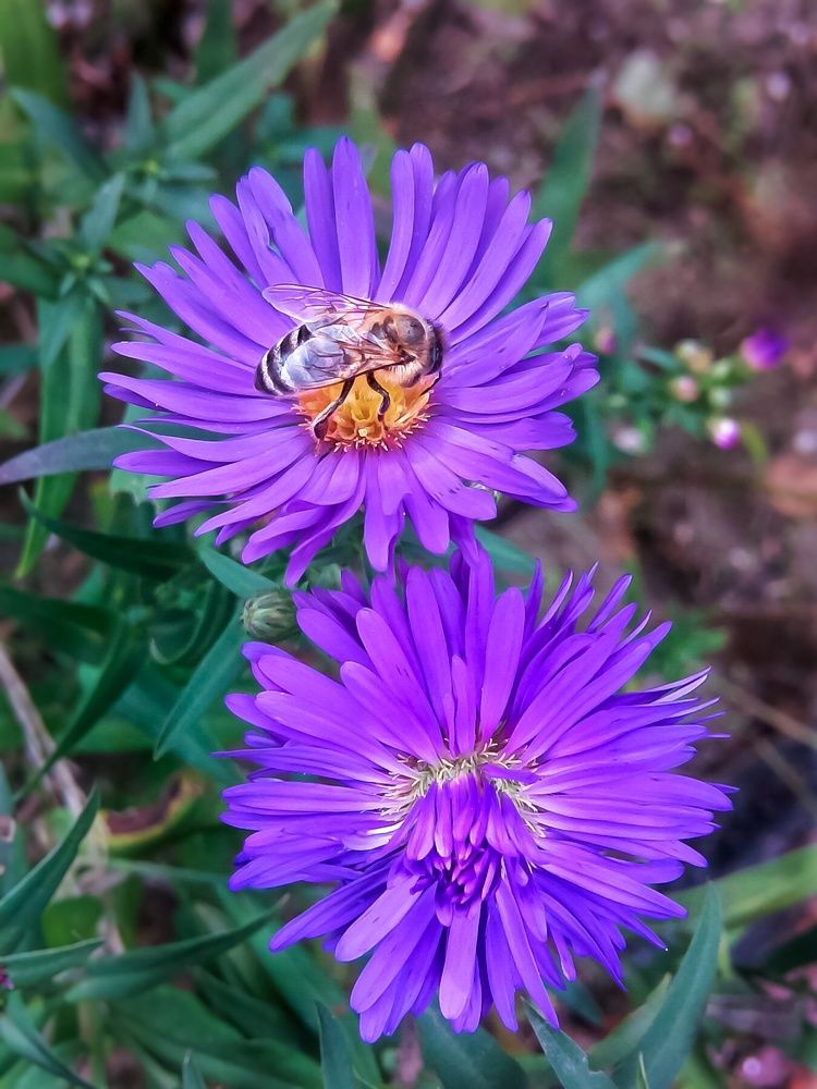 Photograph by Наталия Гнатова