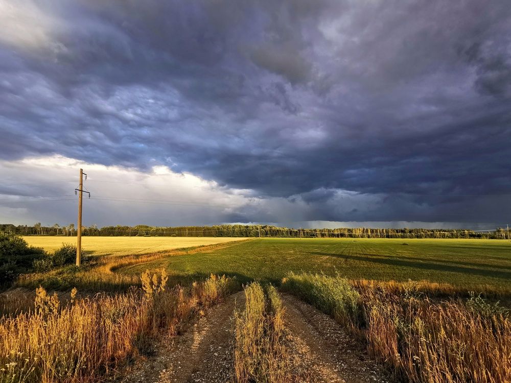 Photograph by Olga Weinberger