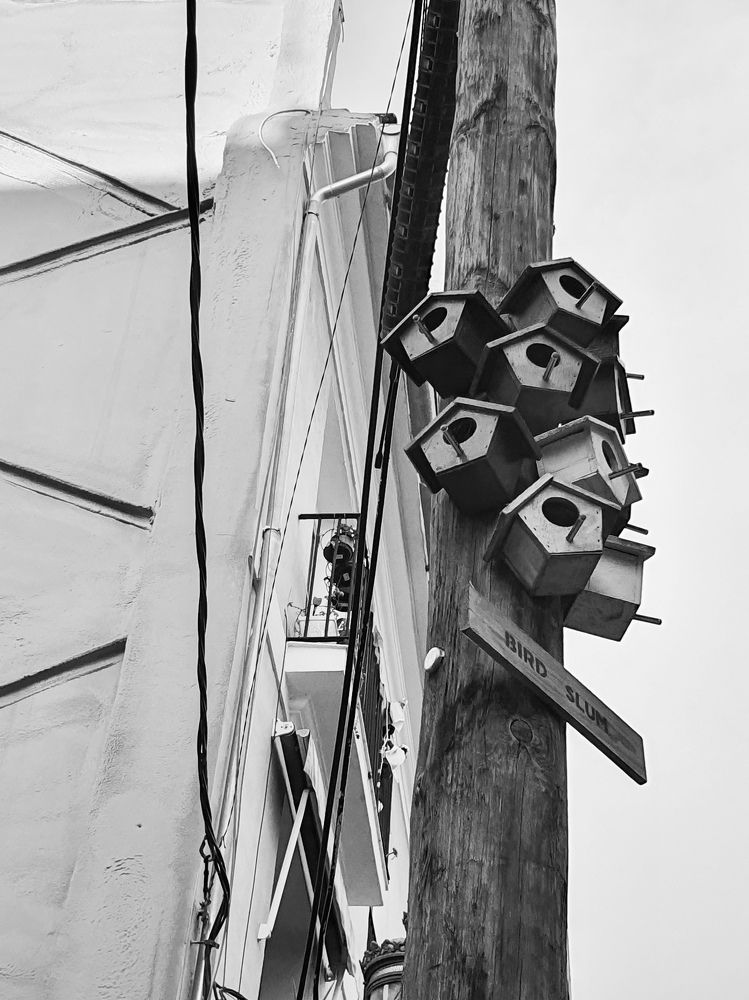 Фотография автора Ольга Катаргина