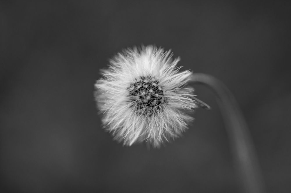 Photograph by Robert Krystosik