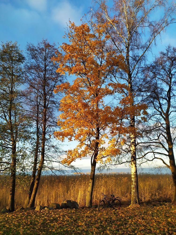 Photograph by Olga Kot