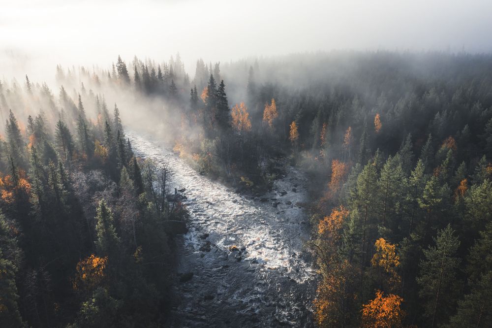 Photograph by Андрей Сачков