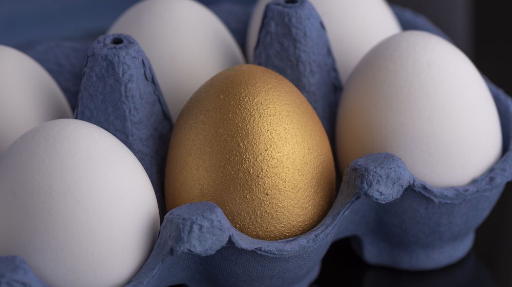 Photograph by Данил Артыков