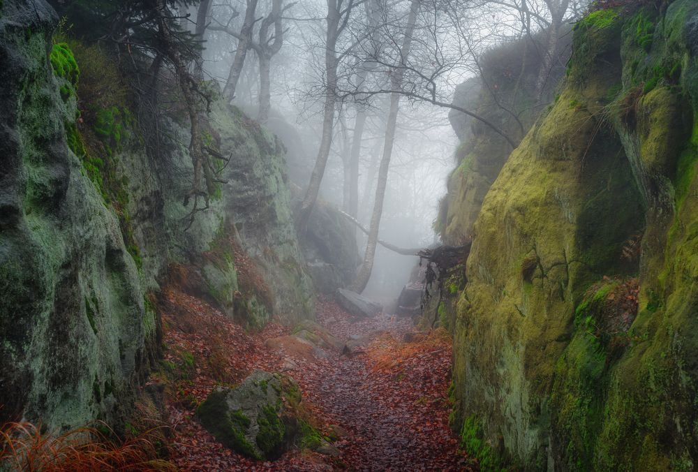 Photograph by Андрей Ожерельев