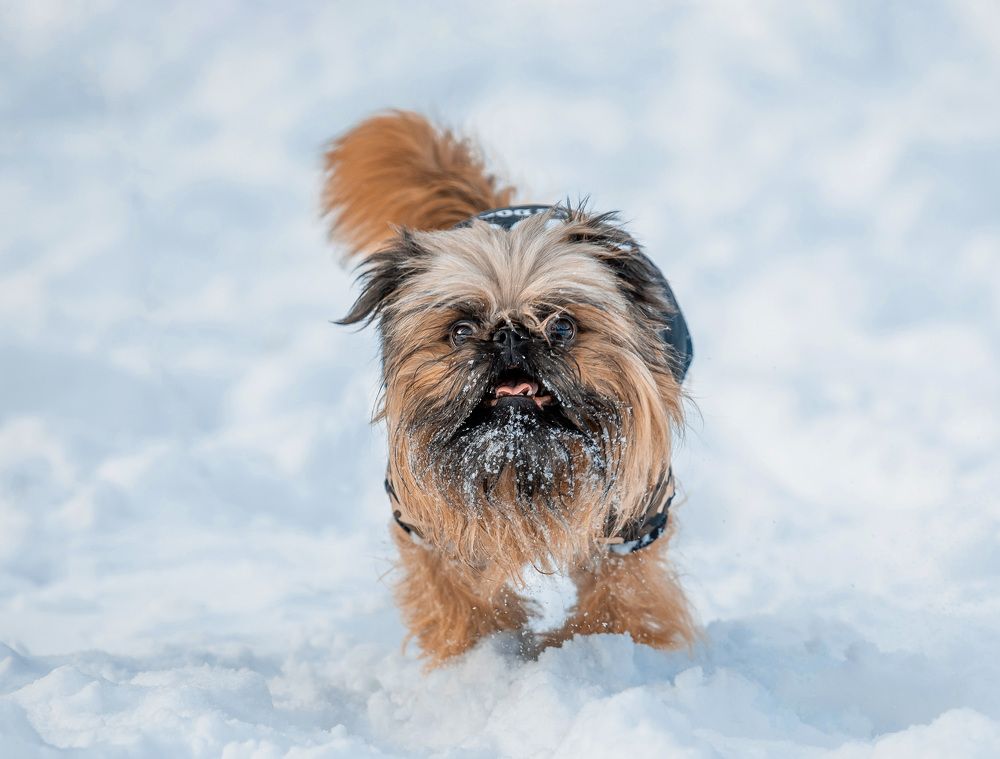 Photograph by Татьяна Кауфман