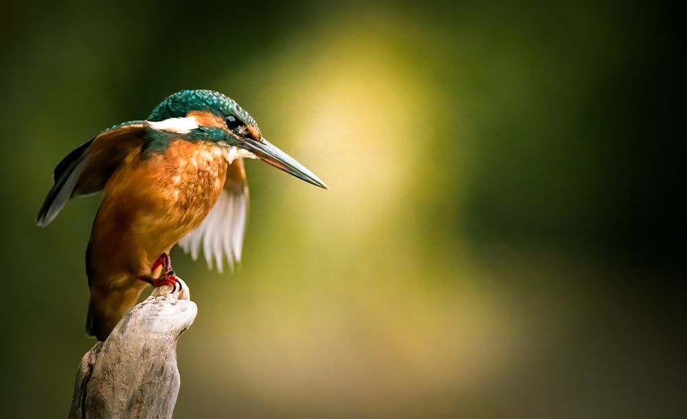 Photograph by CANG BOUN