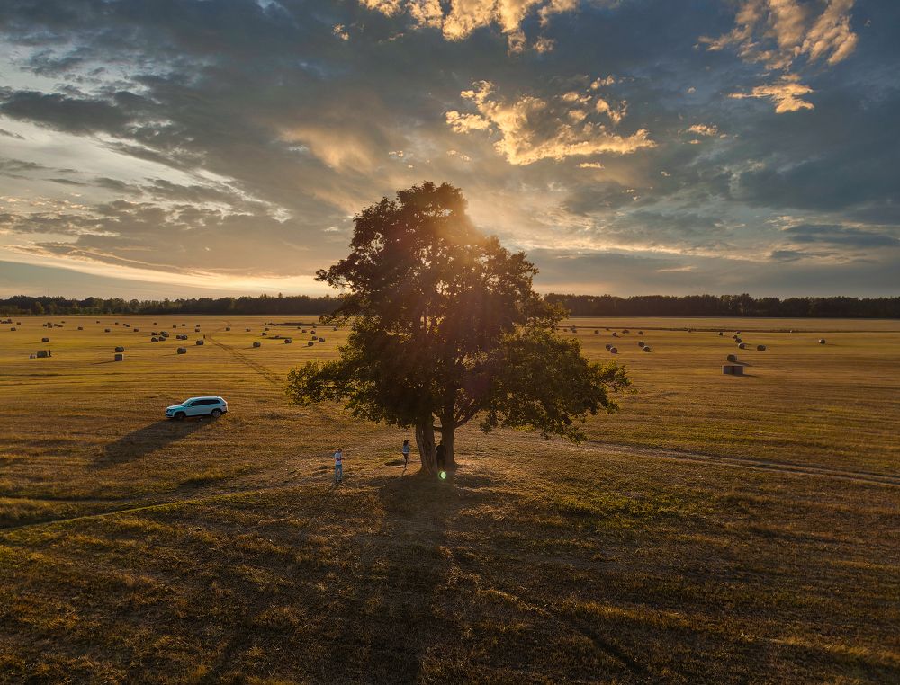 Photograph by Сергей