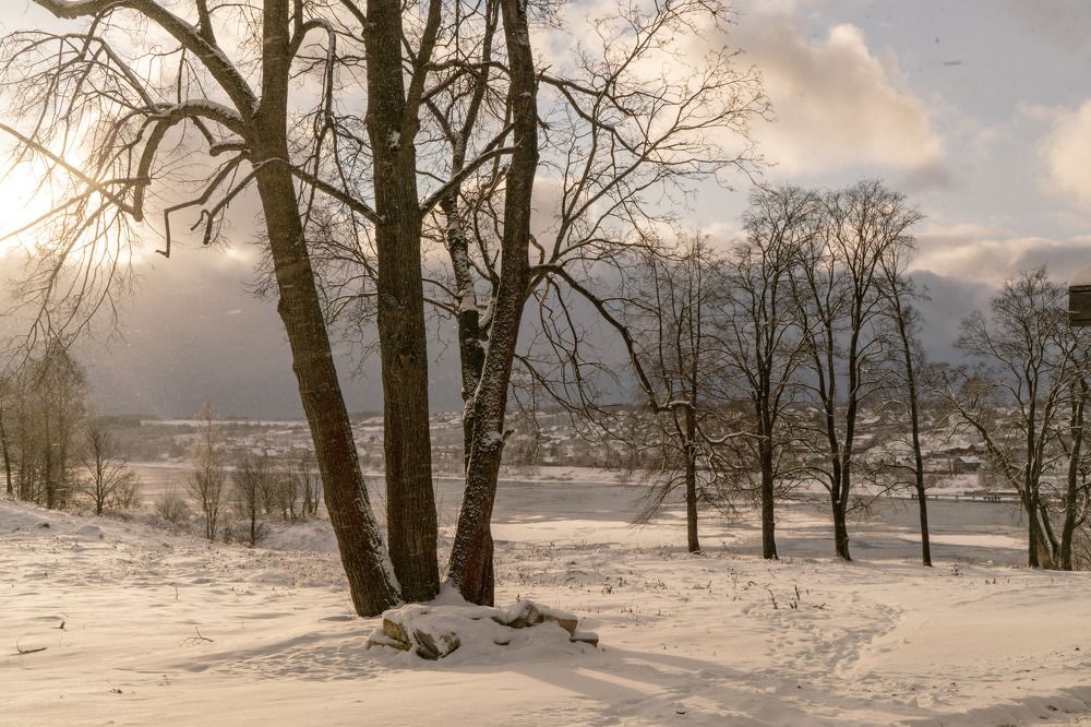 Photograph by Ксения Черных