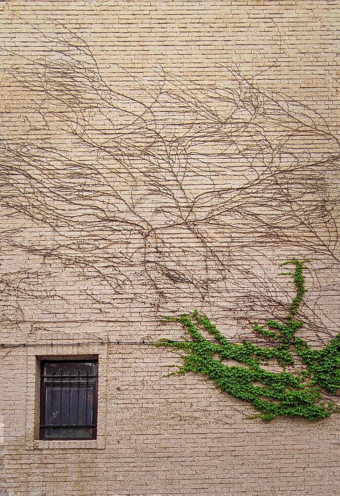 Photograph by Seyedeh zohreh hashemi