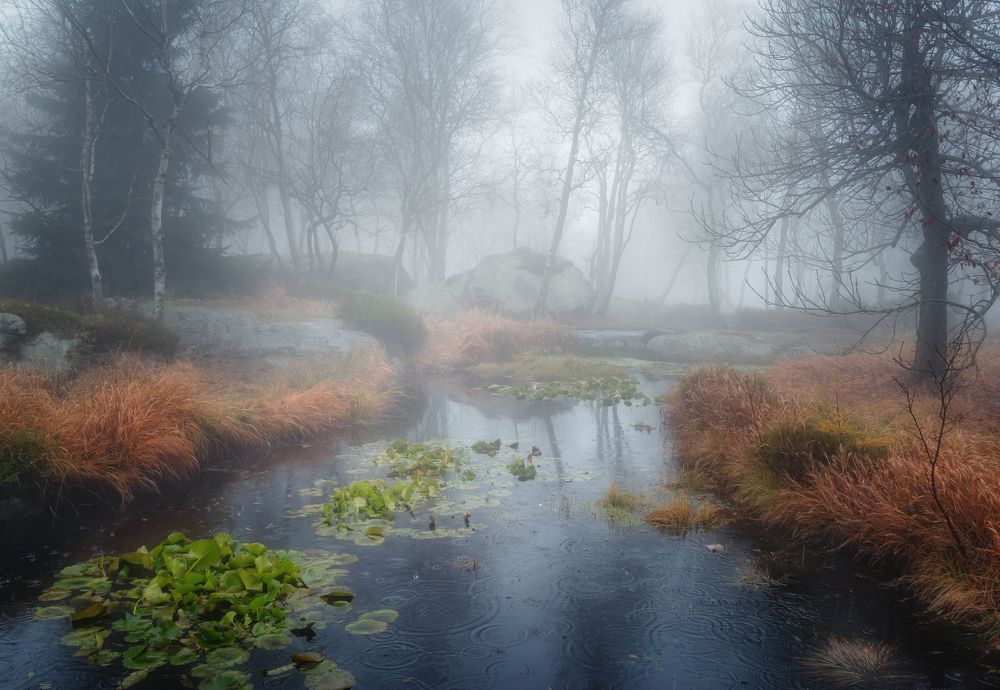 Фотография автора Андрей Ожерельев