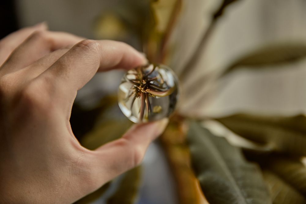 Photograph by Катерина