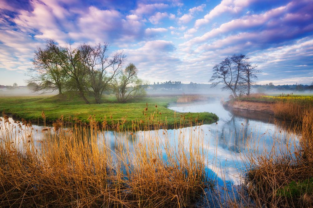 Photograph by Tomasz Wieczorek