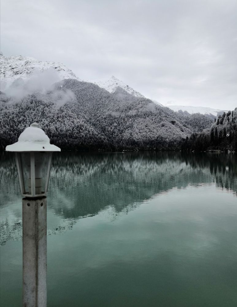 Photo #7335167
