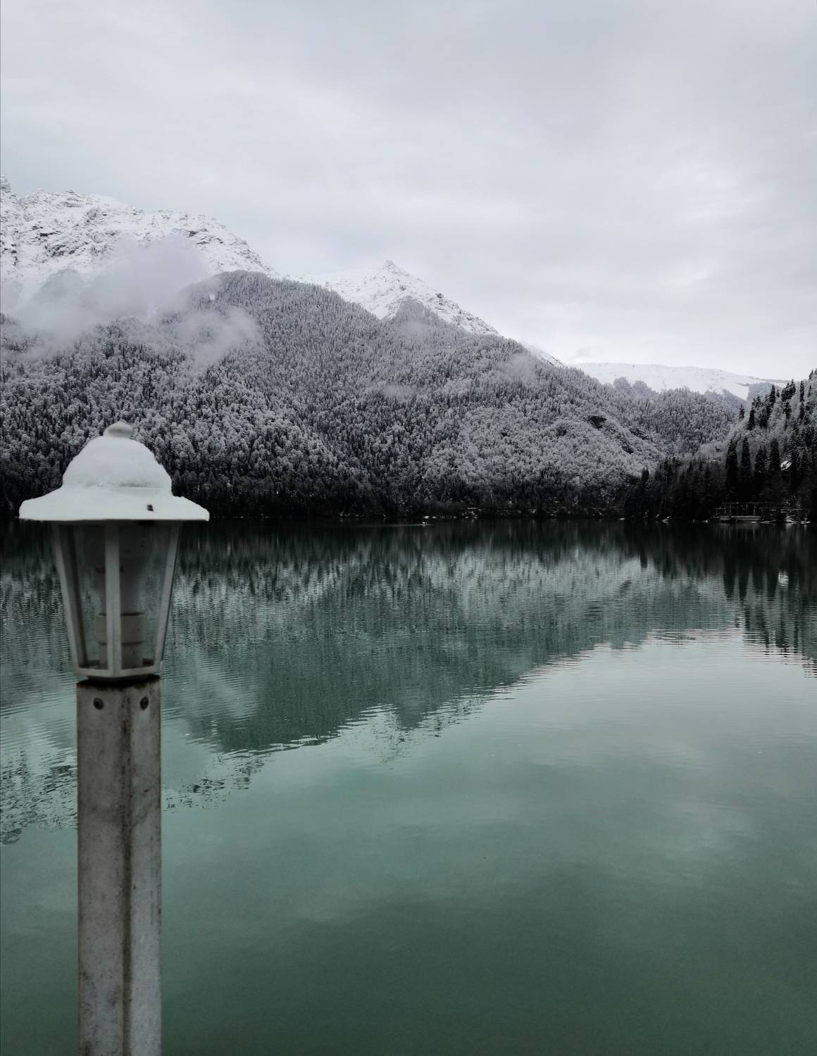 Photo #7335167