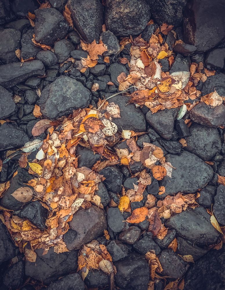 Photograph by Олеся Семенова