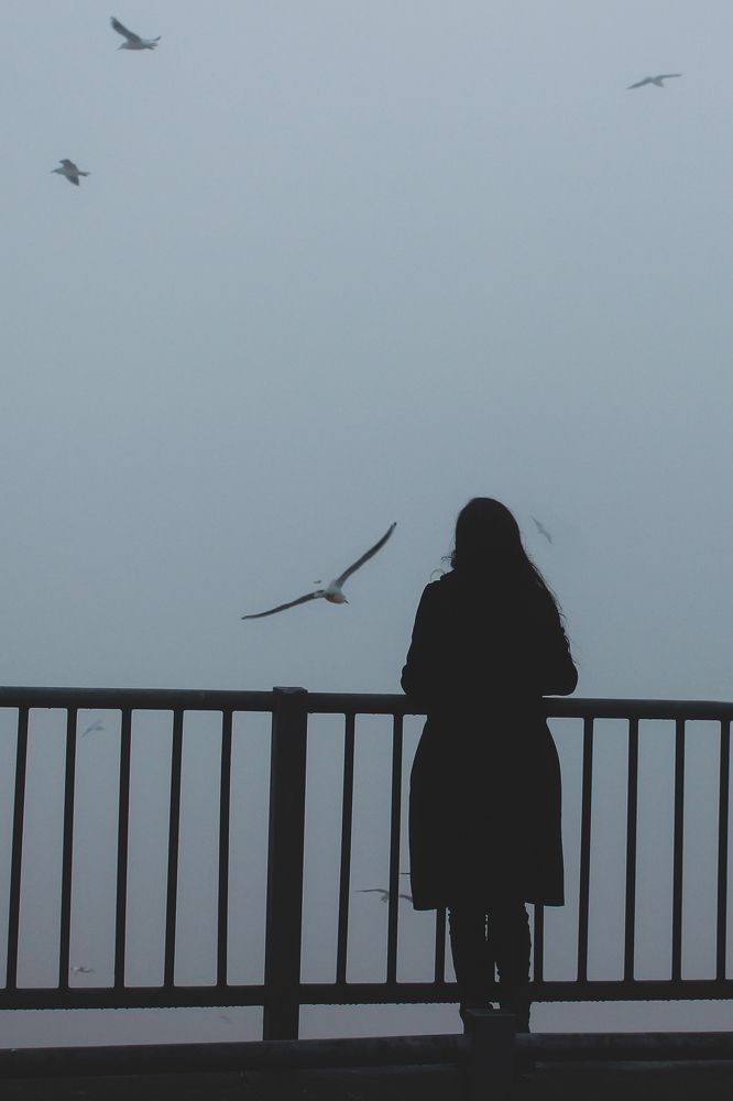 Photograph by Amin Jamei