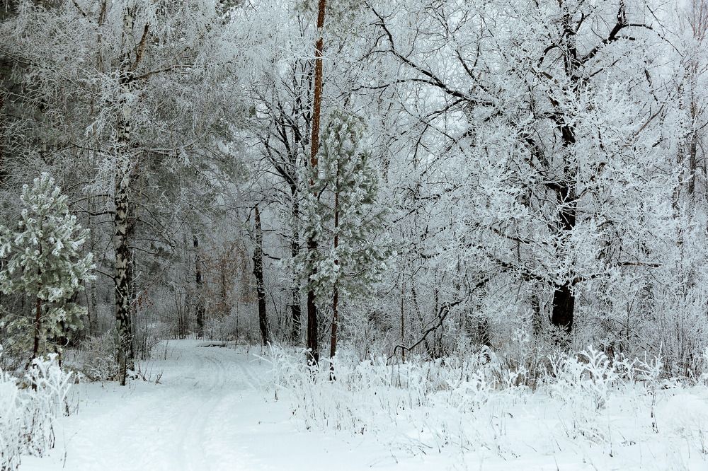Фотография автора Рамиль Фаттахов