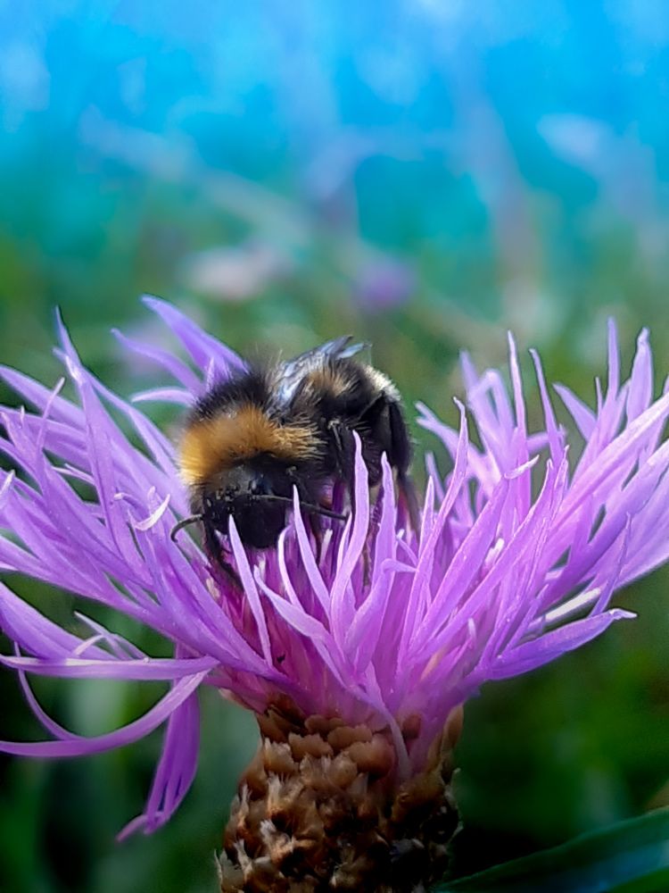 Photograph by Ольга