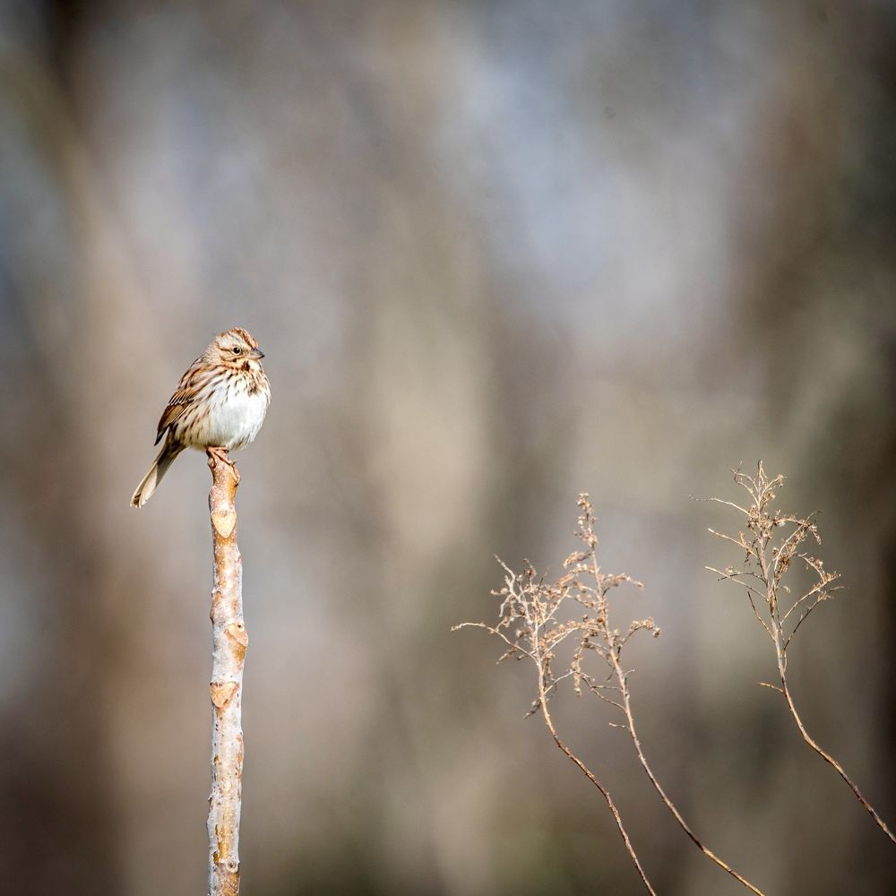 Photograph by Lisa Watkins