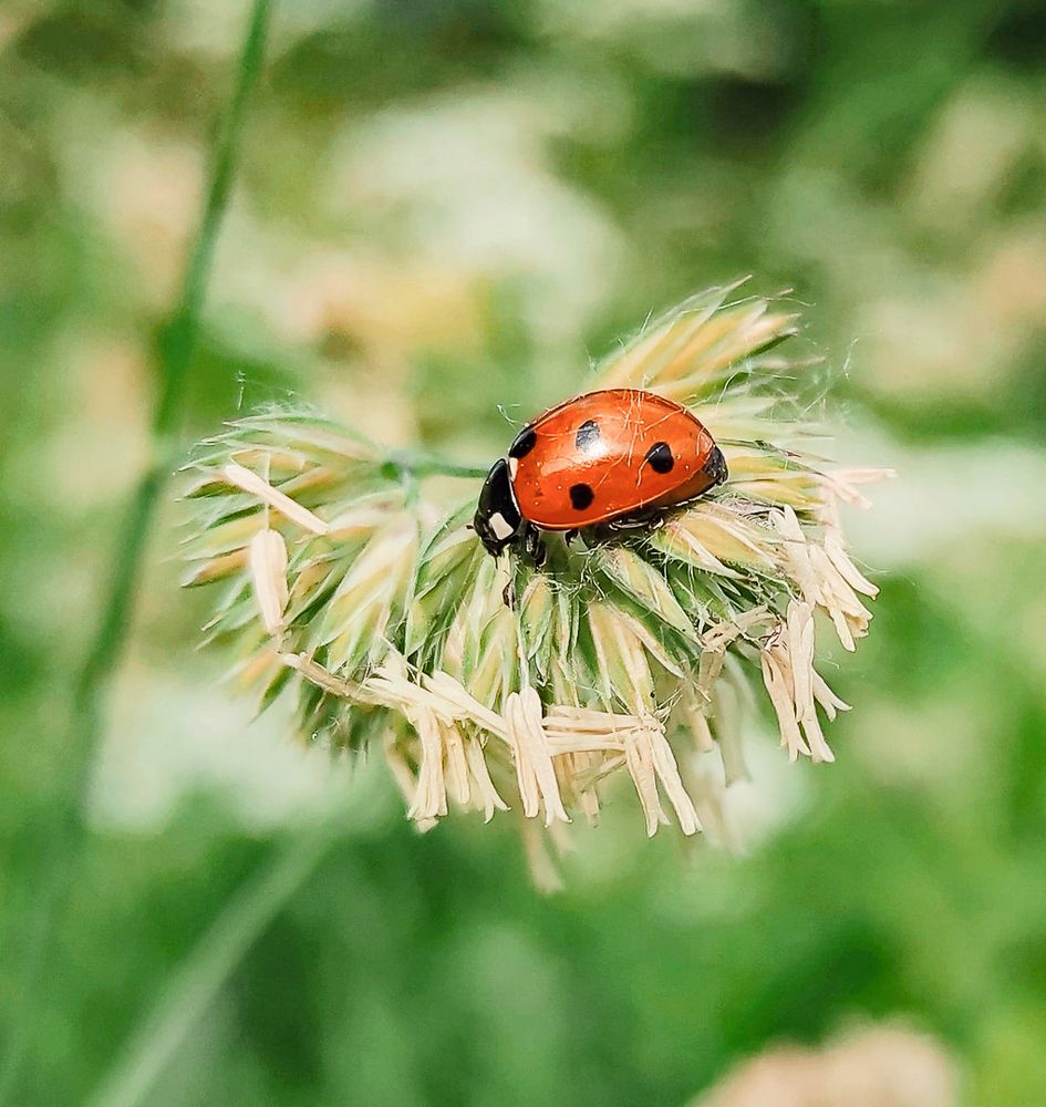 Photograph by Олег Фролов