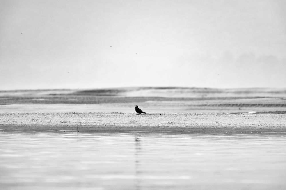 Фотография автора Sunny Saha Pramanick