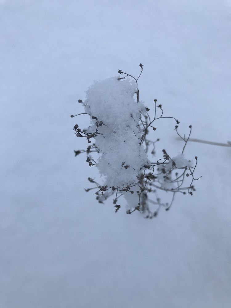 Фотография автора Virginija Sakalauskiene