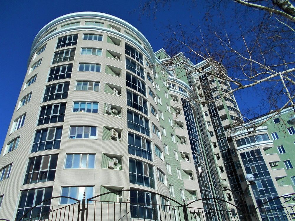 Высотка в парке