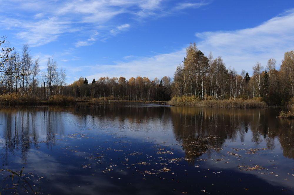 Photograph by Иван Скрипкин