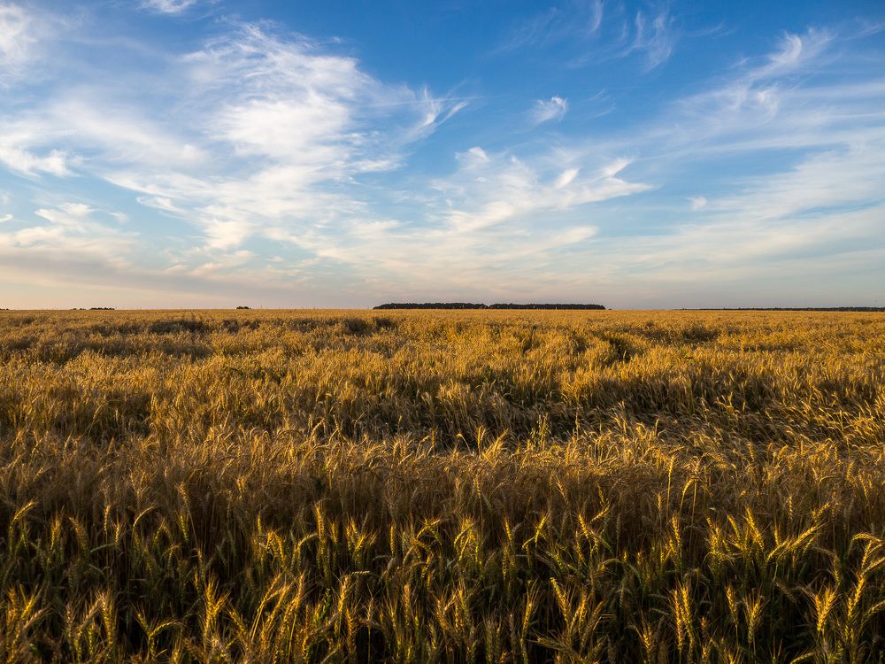 Photograph by Сергей