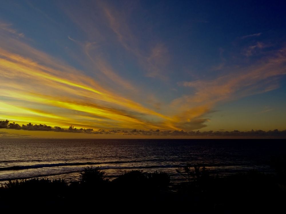 Photograph by Christine ECHEVET-ADAM de VILLIERS