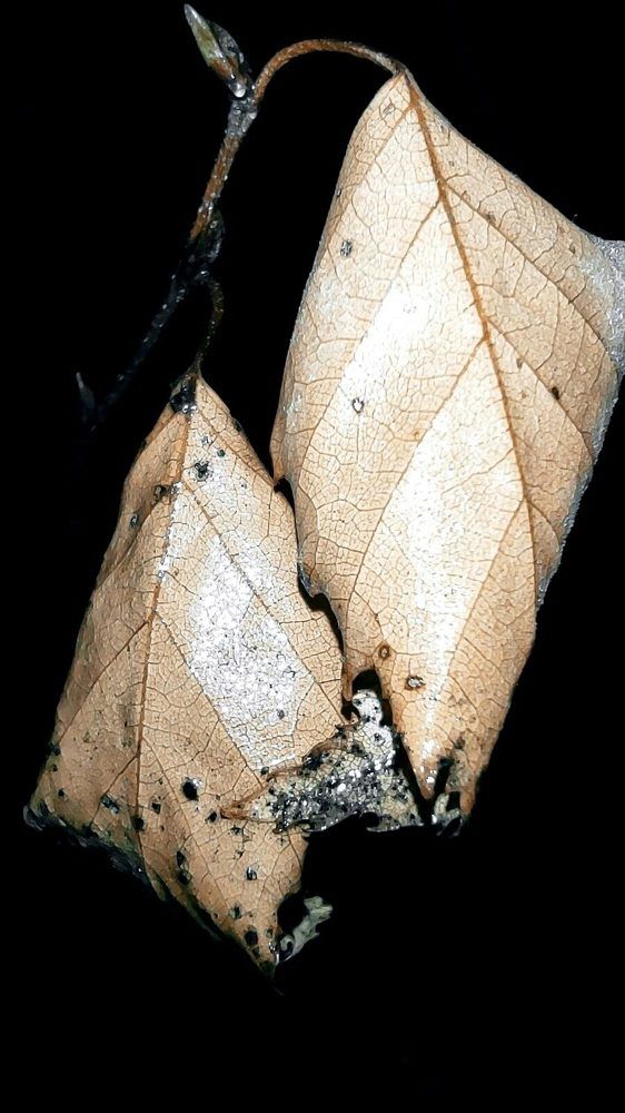 Photograph by Татьяна Ковалева