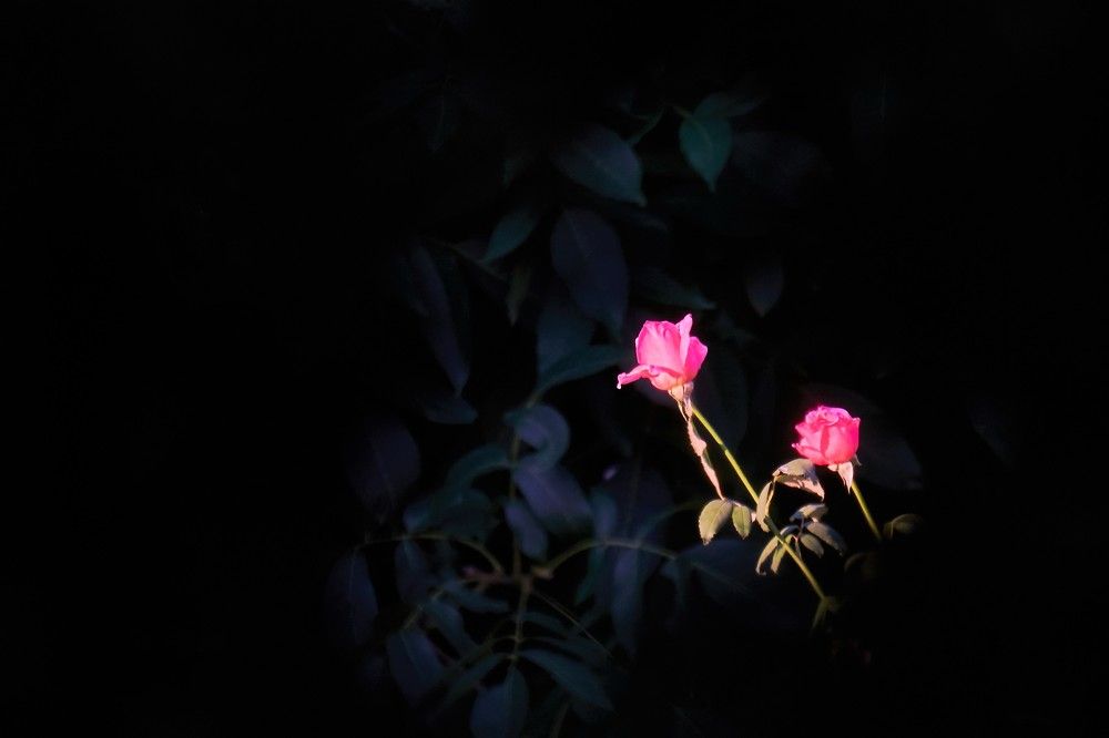 Photograph by Сергей Парантаев