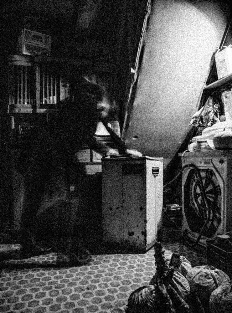 Photograph by Максим Кучкильдинов