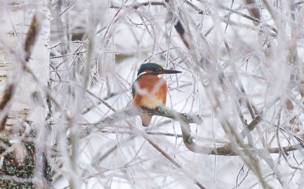 Photograph by Victor Krachkovsky