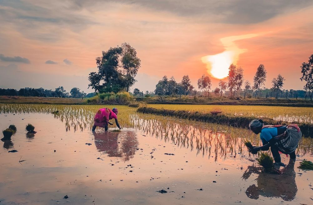 Photograph by Suman Mondal