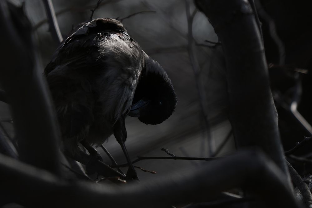 Photograph by Евгений Пакулов