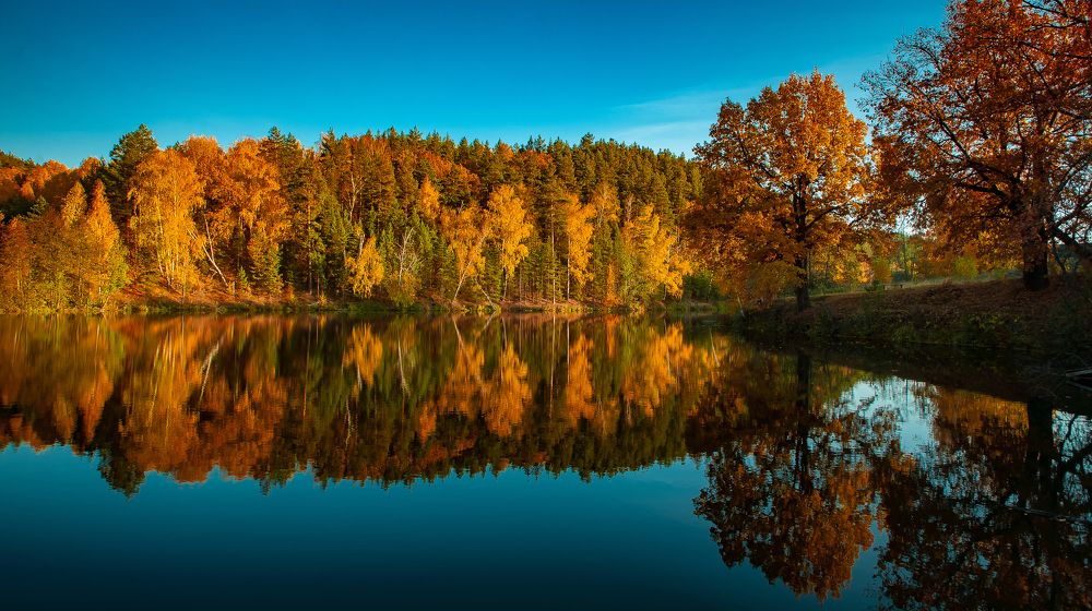 Photograph by Евгений Анисимов