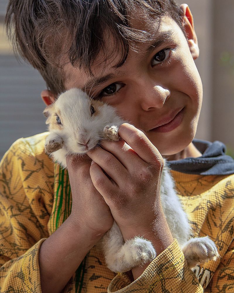 iman and playful rabbit