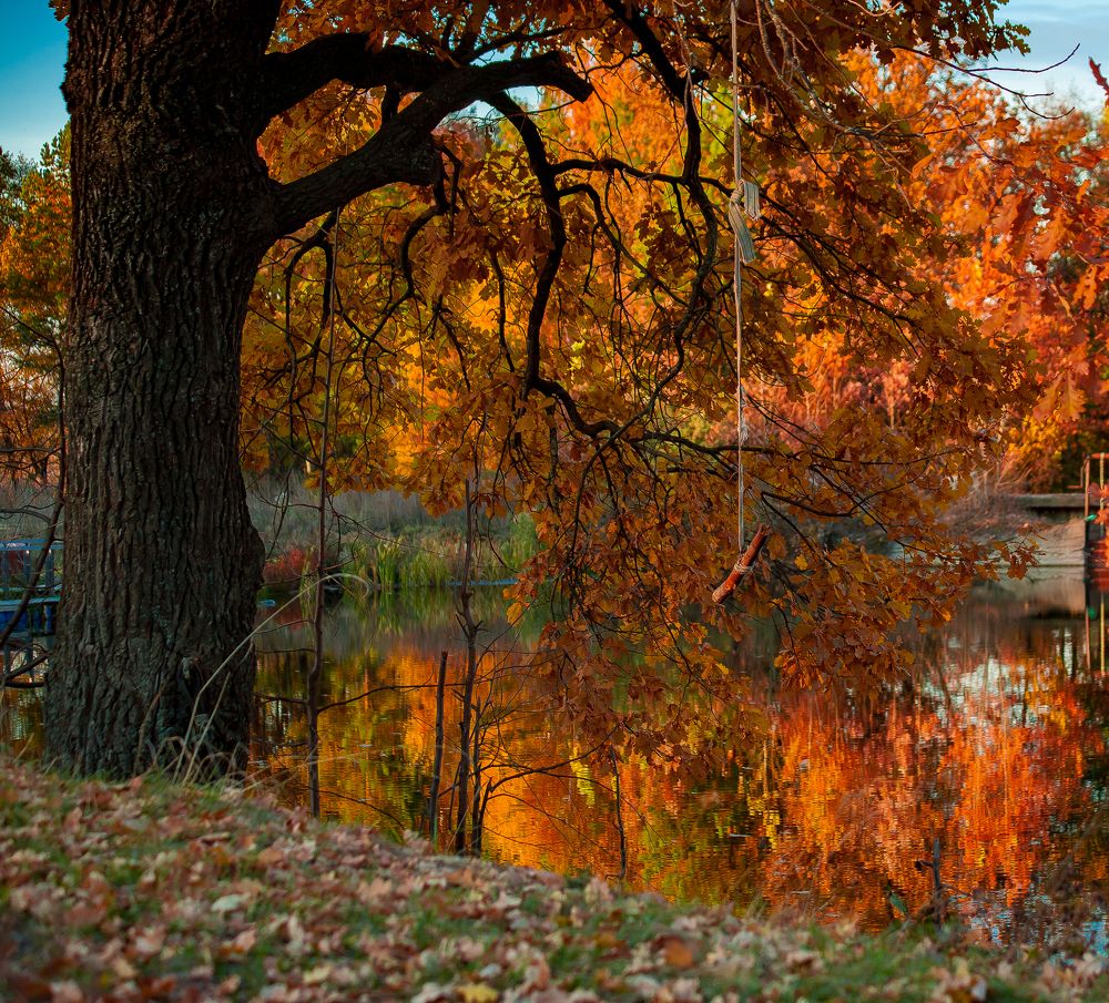 Photograph by Евгений Анисимов