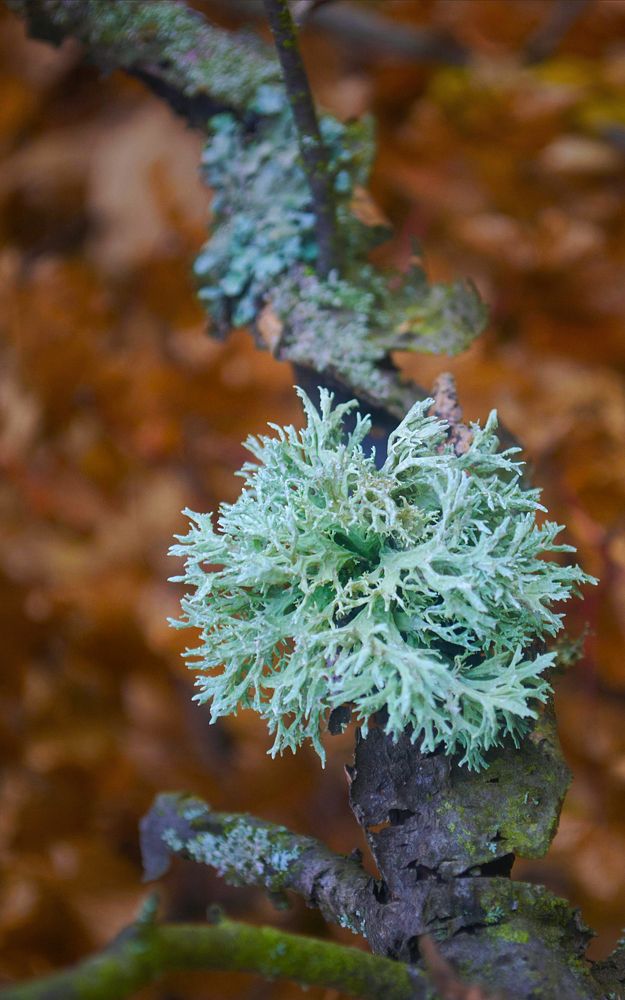 Photograph by Юлия Кононова