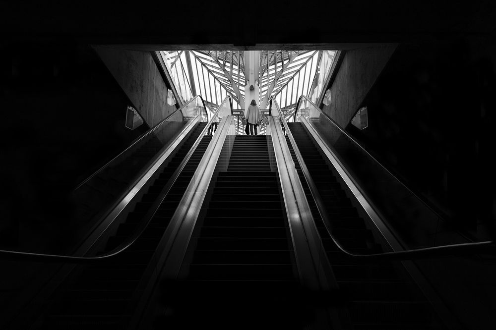 Photograph by Carlos Lopes Franco