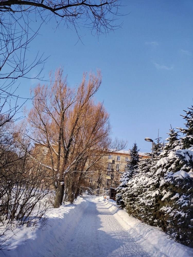 Photograph by Саманта Начкебия